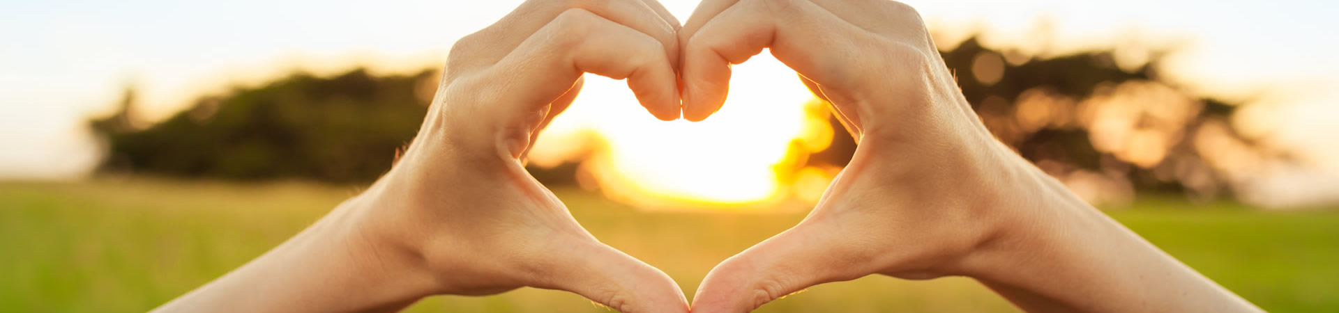 New owner occupied and investment home loans.